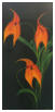 Orchid�es - Huile - Huyens
