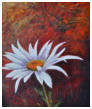 Blanche des pr�s - acrylique - Lesuisse
