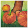 Potirons oubli�s - huile - Huyens